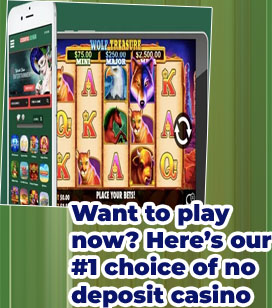 Casino mate no deposit bonus